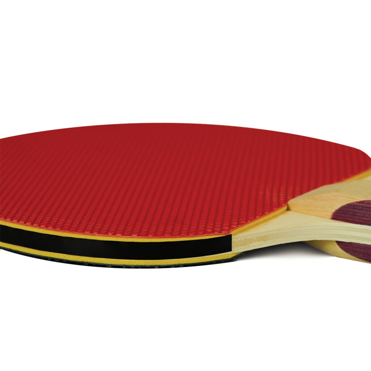 Butterfly Vortex Racket (Pips-out 1.5mm): Profile of pips side